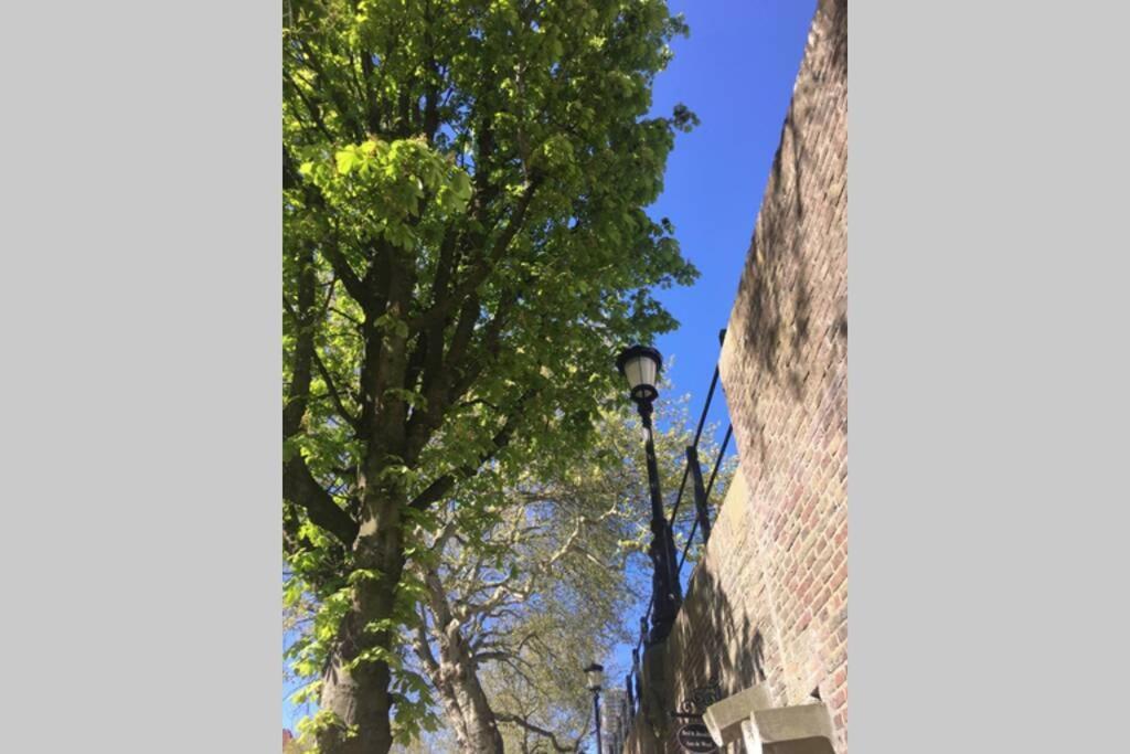Werfkelder Aan De Oudegracht Apartment *