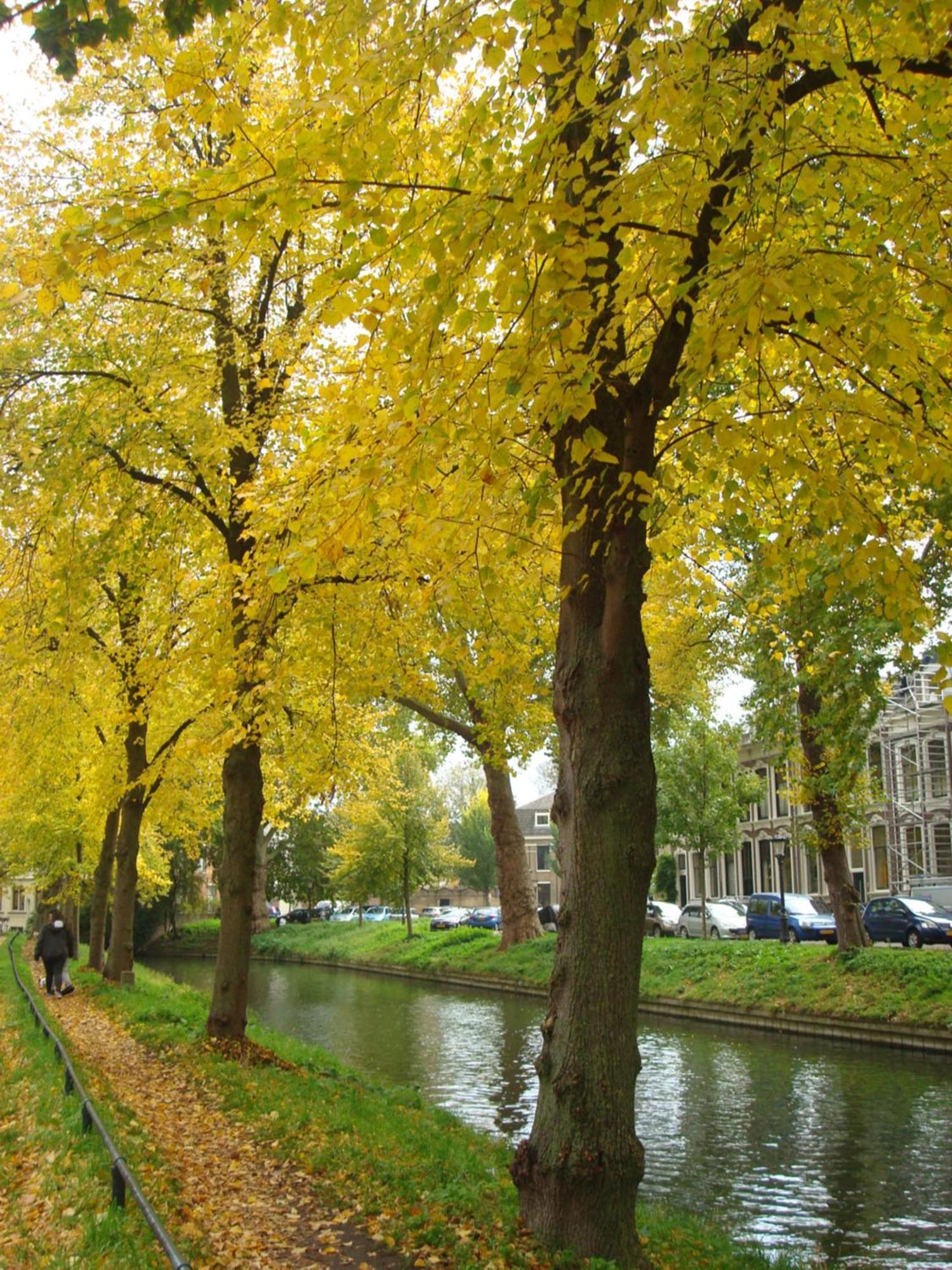 Historic Canal House In Residential Area * Utrecht