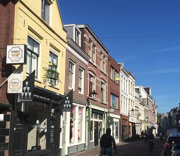 B&B Het Museumkwartier