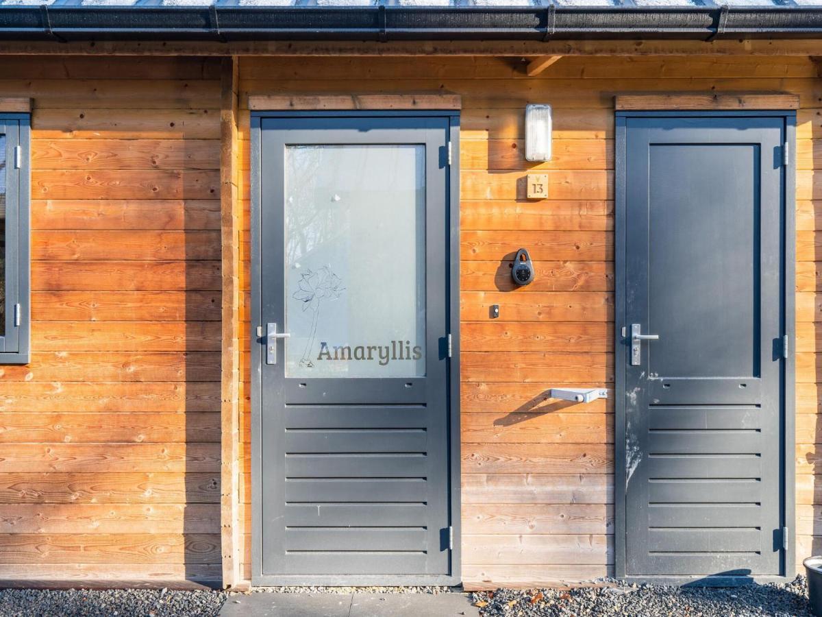 Holiday home Cosy Wooden House Amid Woods In Soesterberg