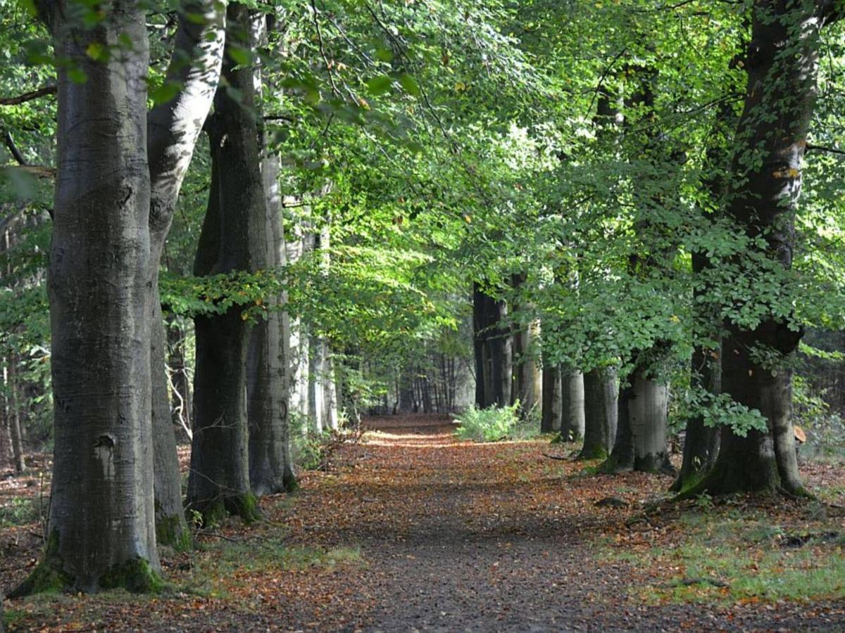 Cosy Wooden House Amid Woods In Soesterberg * Utrecht