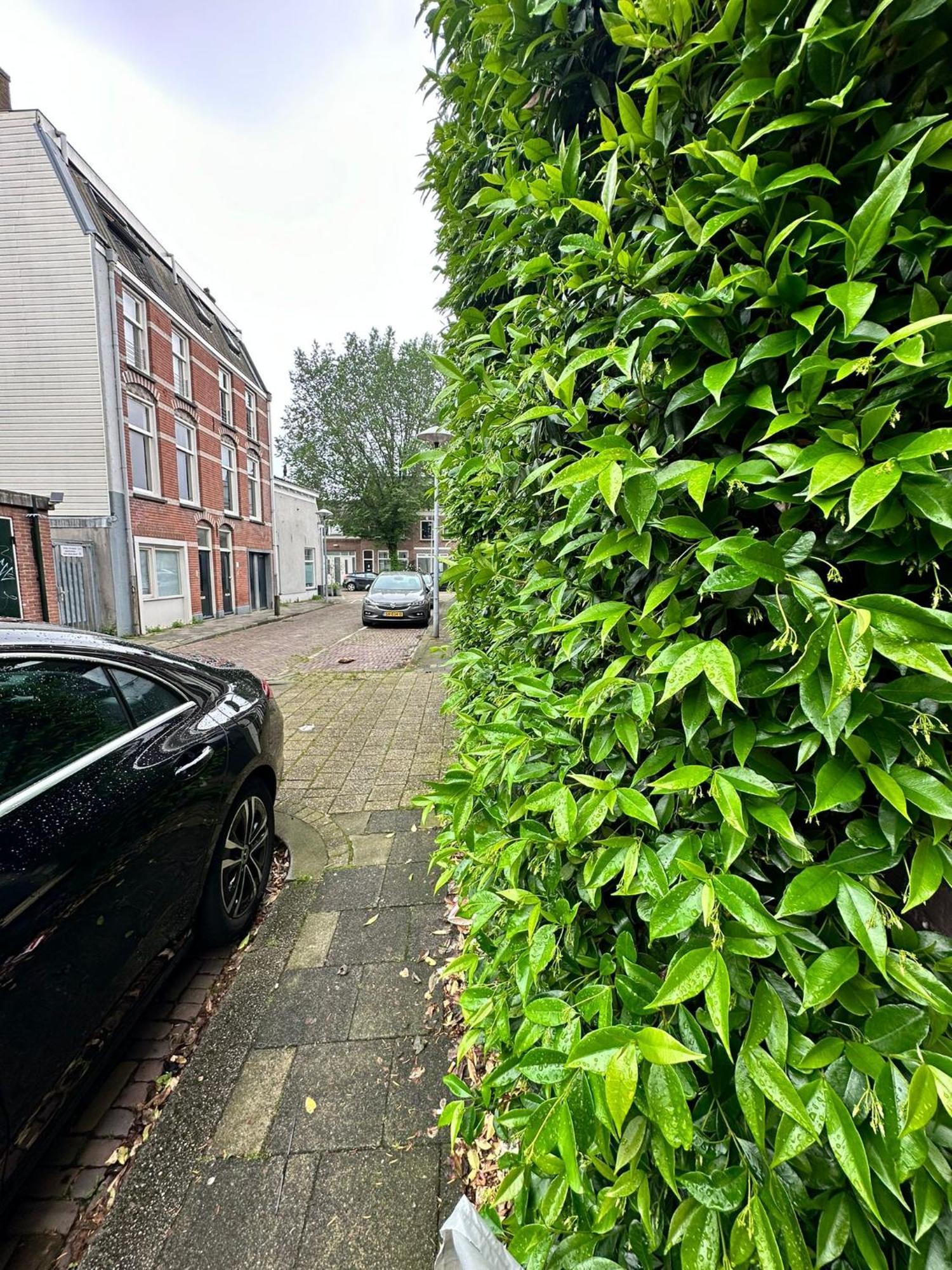 Homestay Single Bed In Utrecht