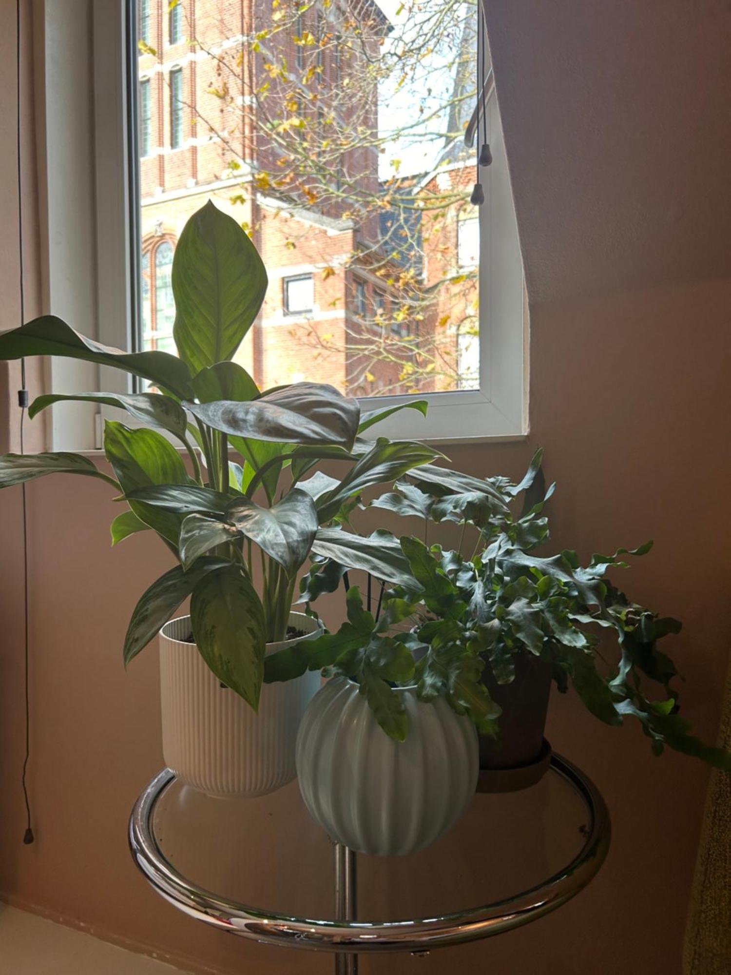 Rand Centrum, Rust En Guest house
