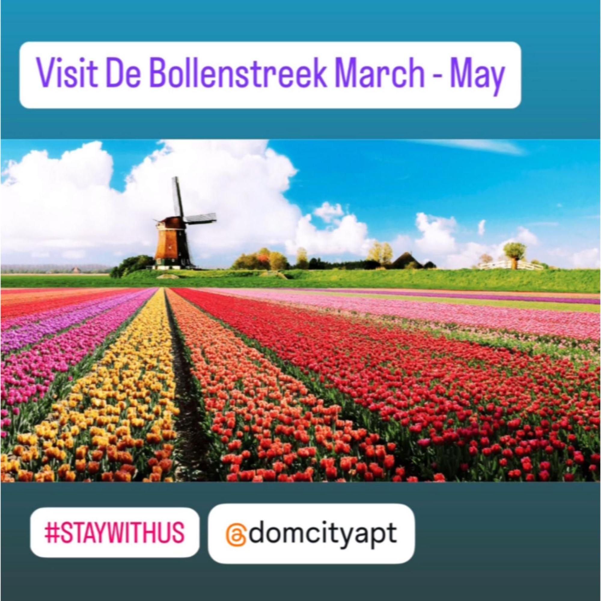 Domcity Near Amsterdam Huoneisto Utrecht
