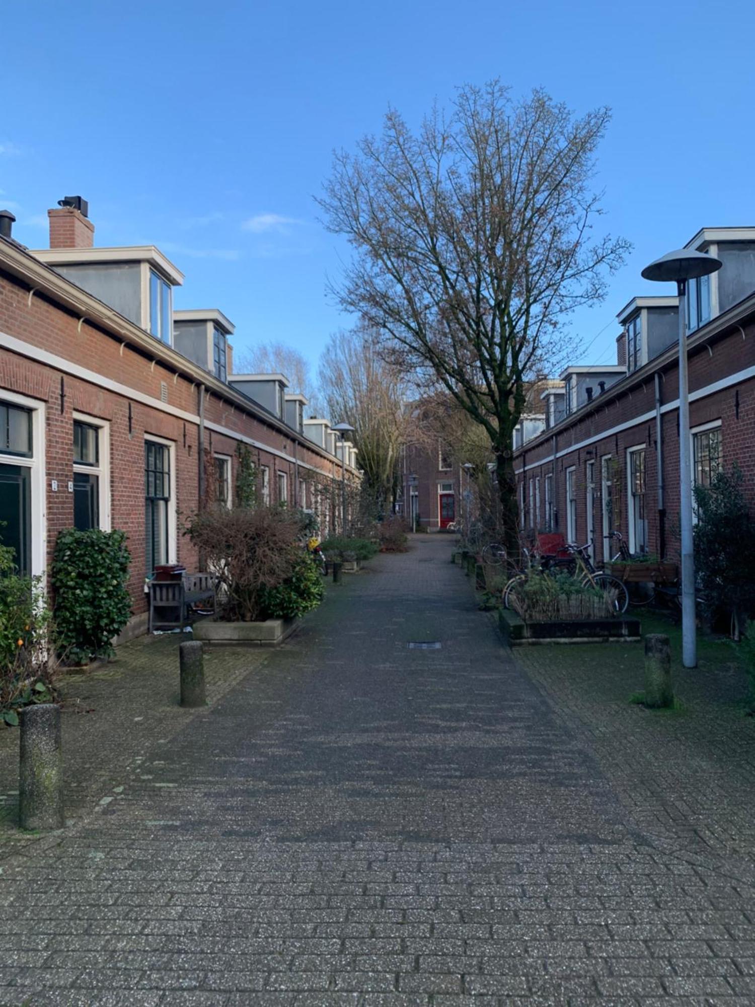 Lelou Utrecht