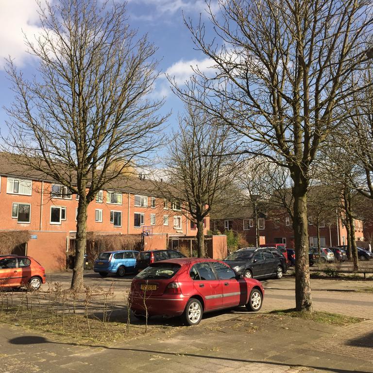 Homestay Utrecht *