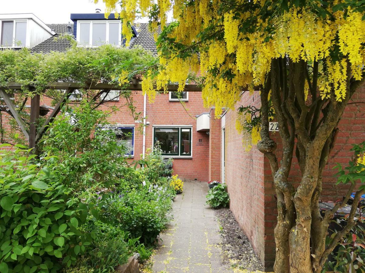 Bed & Breakfast Homestay Utrecht *