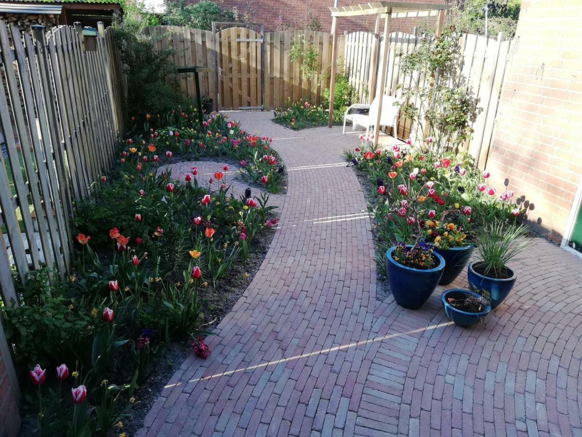 Homestay Utrecht * Utrecht