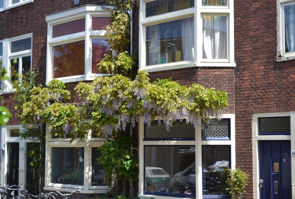 Bed & Breakfast Limes Oudwijk